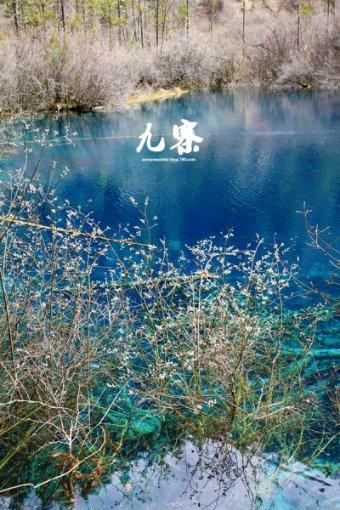 怎么申请自媒体账号赚钱